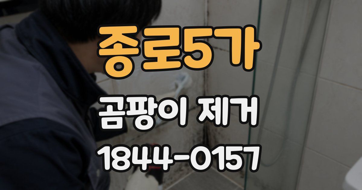 종로5가 곰팡이 제거