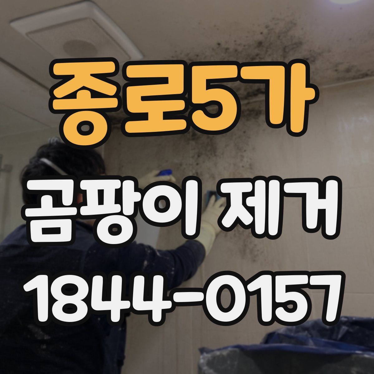 종로5가 곰팡이 제거