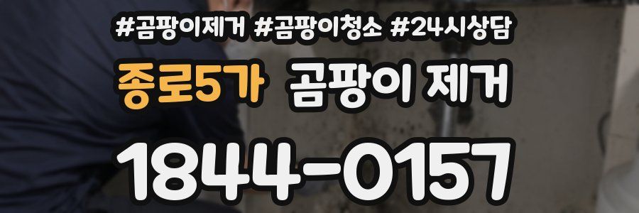 종로5가 곰팡이 제거