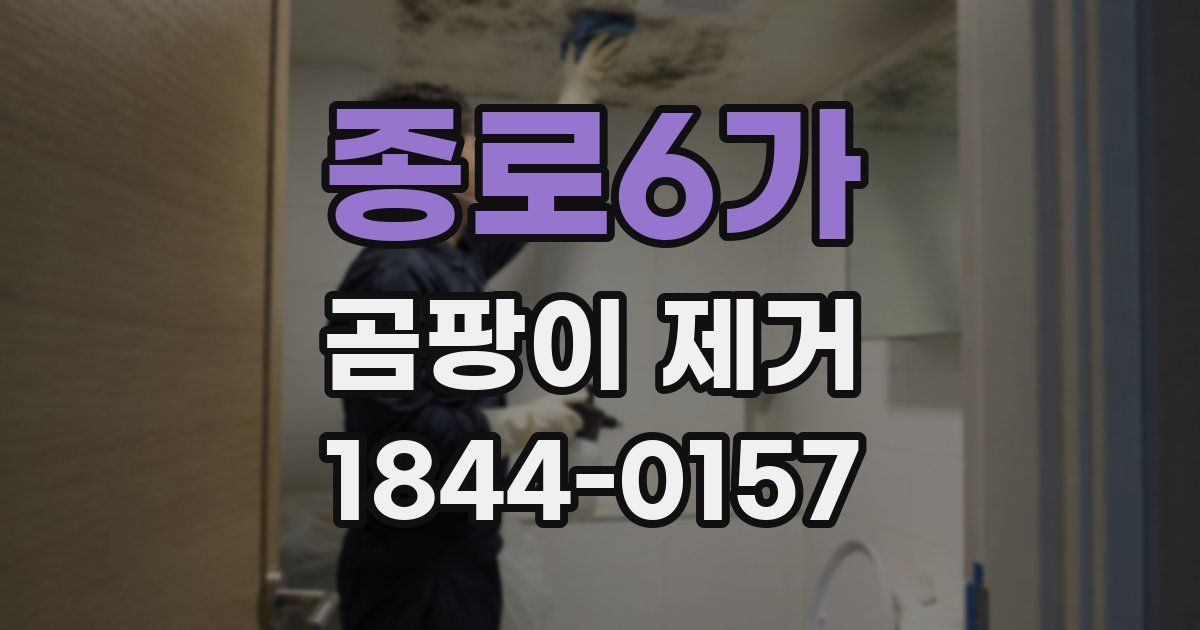 종로6가 곰팡이 제거