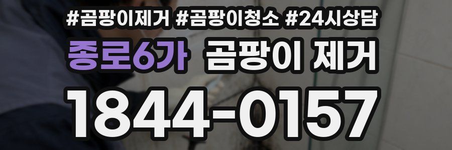 종로6가 곰팡이 제거