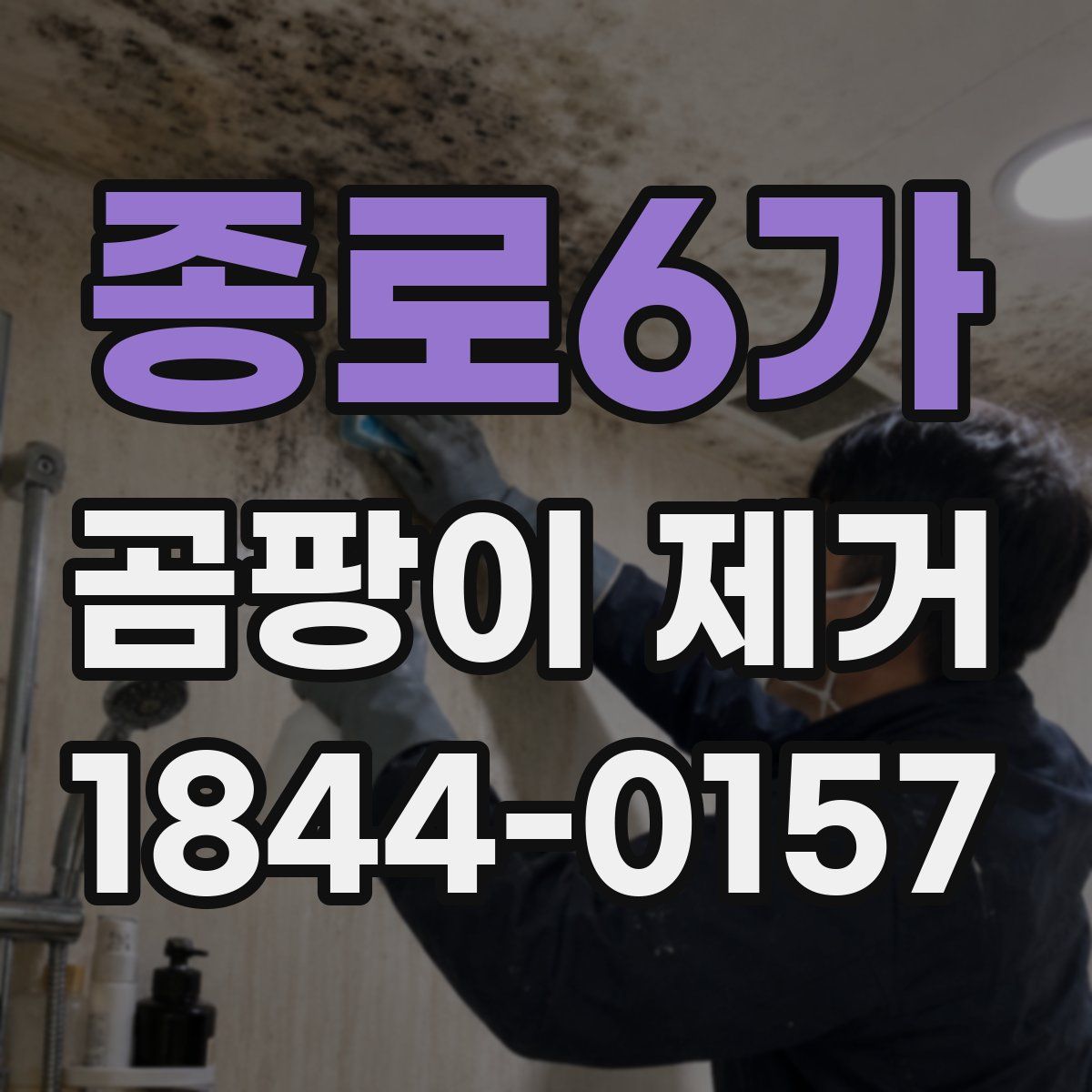 종로6가 곰팡이 제거