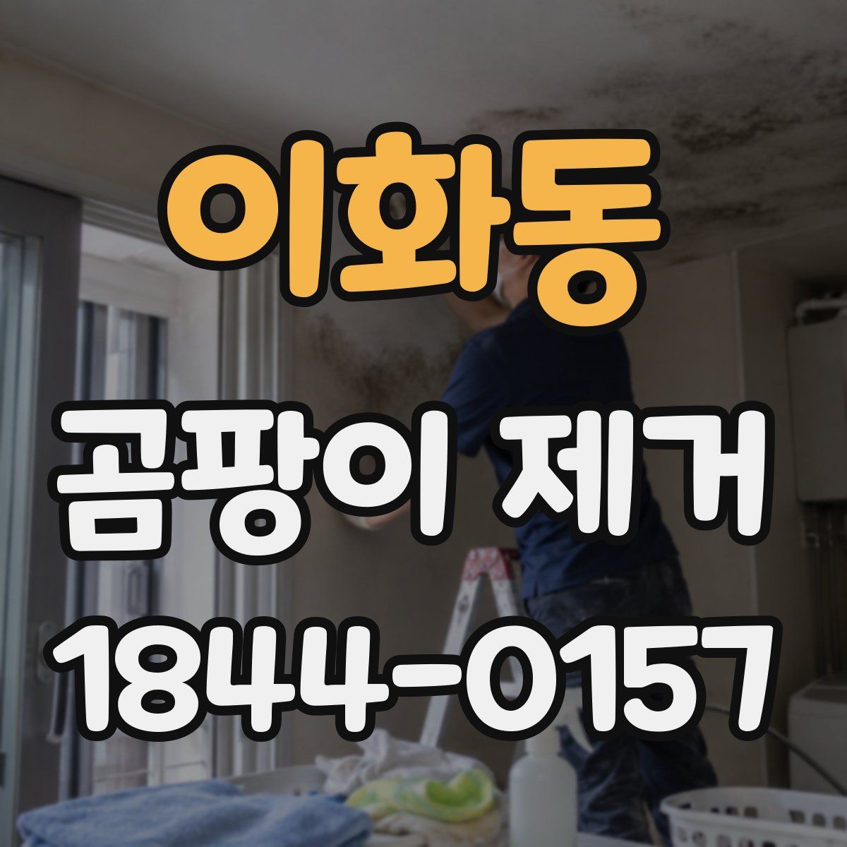 이화동 곰팡이 제거
