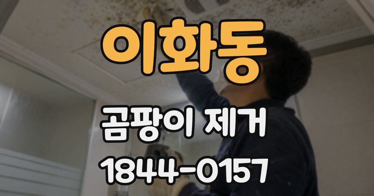 이화동 곰팡이 제거