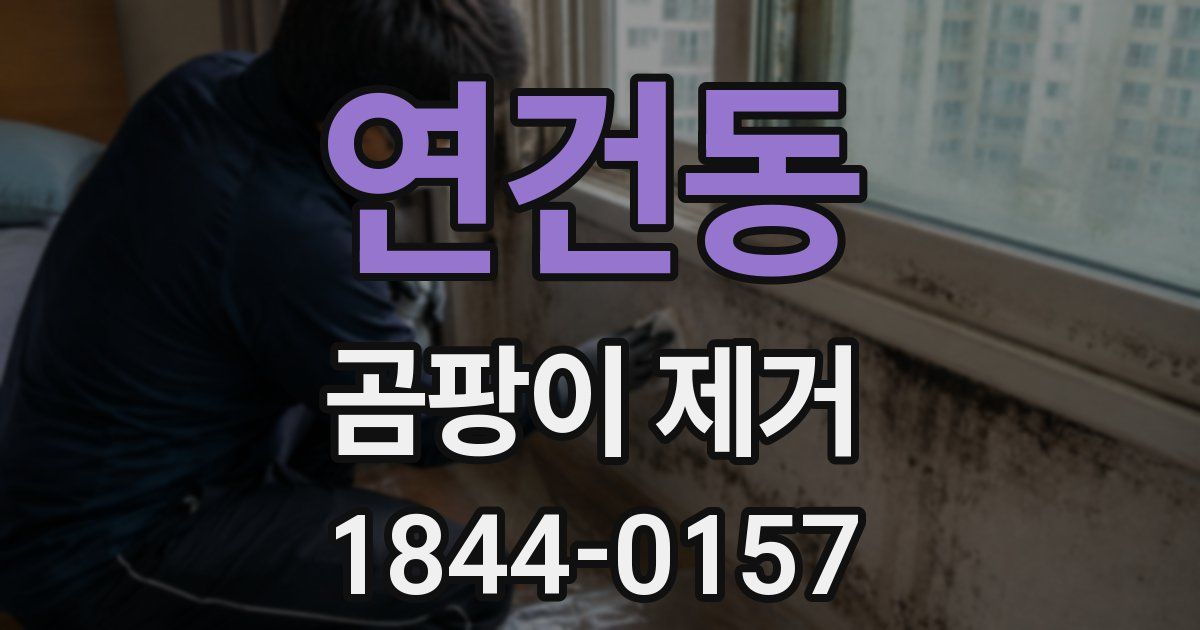 연건동 곰팡이 제거