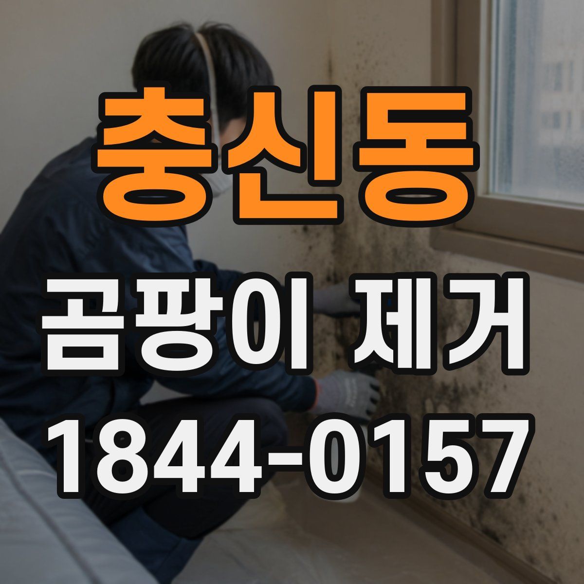 충신동 곰팡이 제거