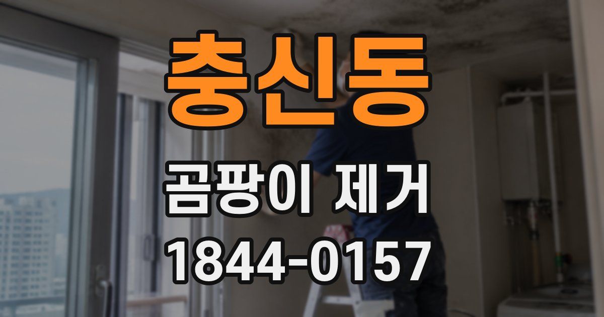 충신동 곰팡이 제거