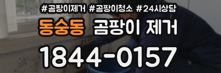 동숭동 곰팡이 제거