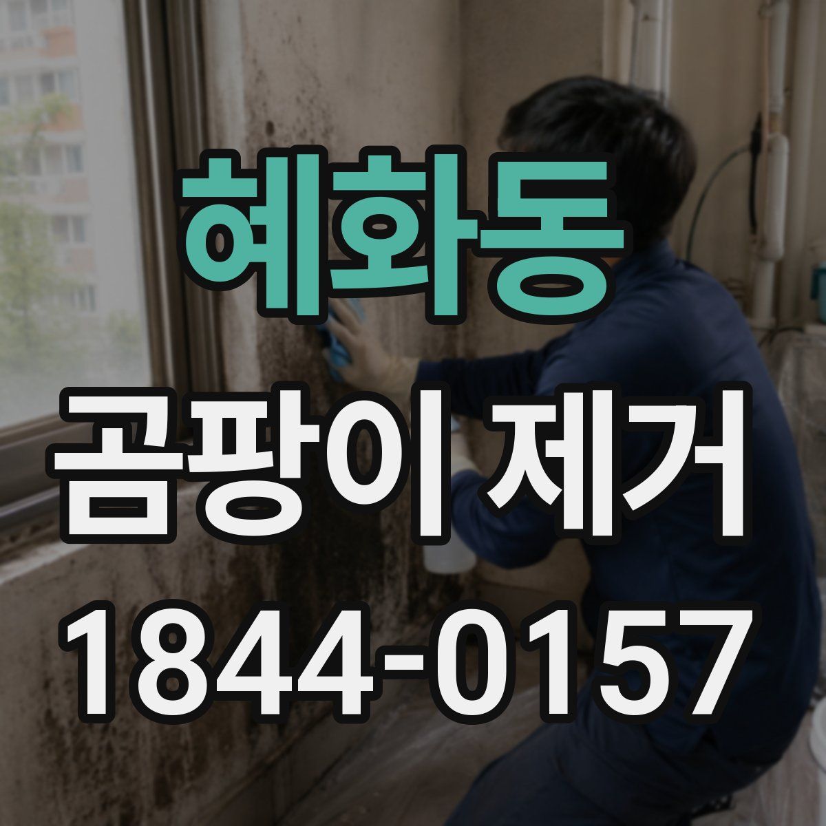 혜화동 곰팡이 제거