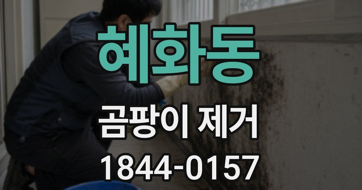 혜화동 곰팡이 제거