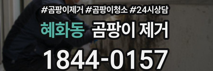 혜화동 곰팡이 제거