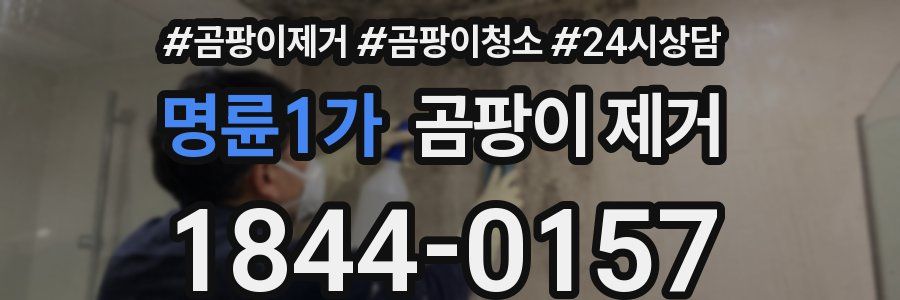 명륜1가 곰팡이 제거