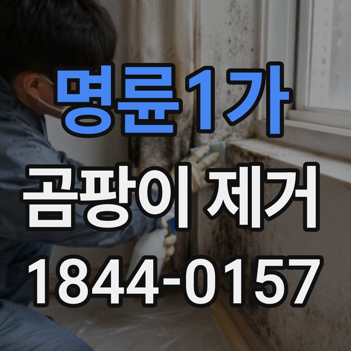 명륜1가 곰팡이 제거