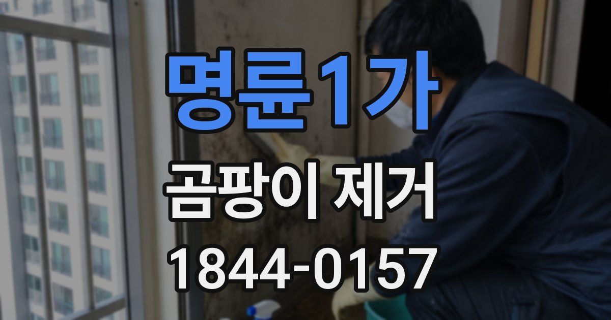 명륜1가 곰팡이 제거