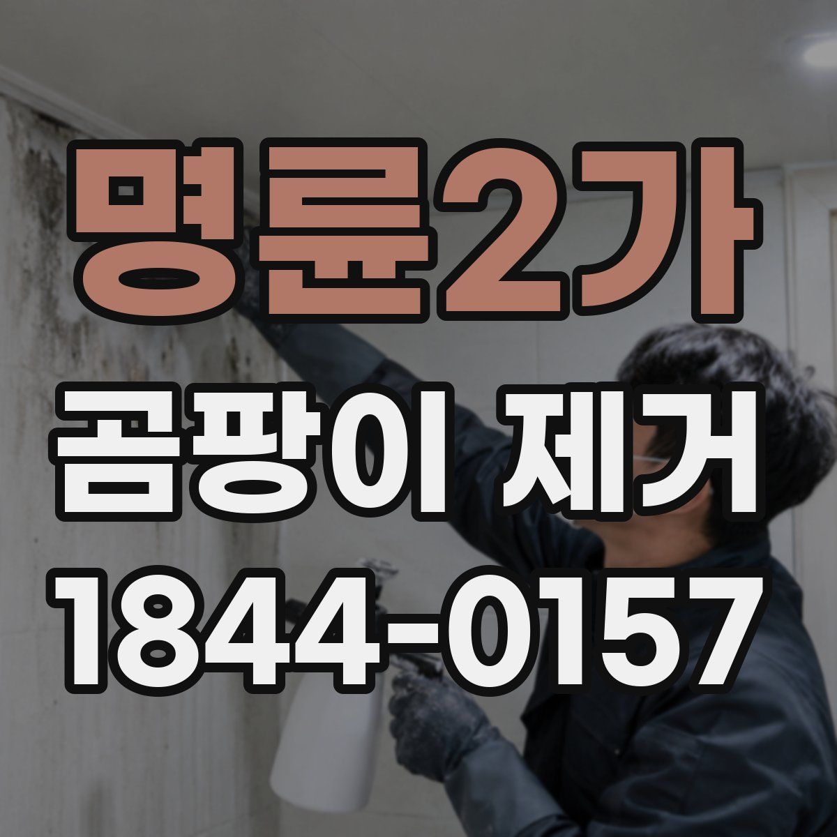 명륜2가 곰팡이 제거