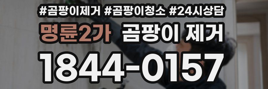 명륜2가 곰팡이 제거
