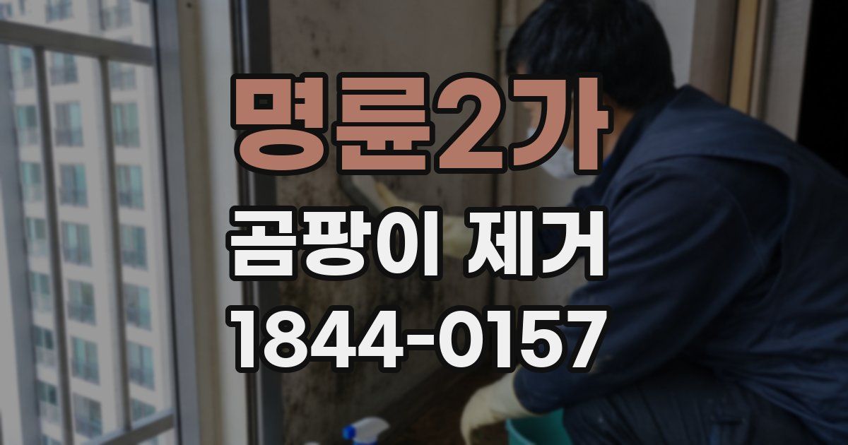 명륜2가 곰팡이 제거
