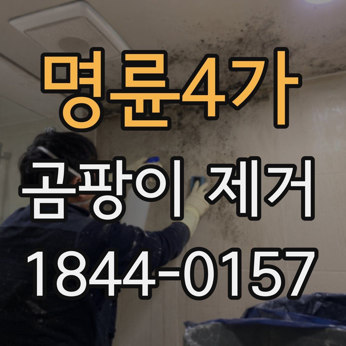 명륜4가 곰팡이 제거 천장 얼룩이 넓어지기 전 확인할 포인트