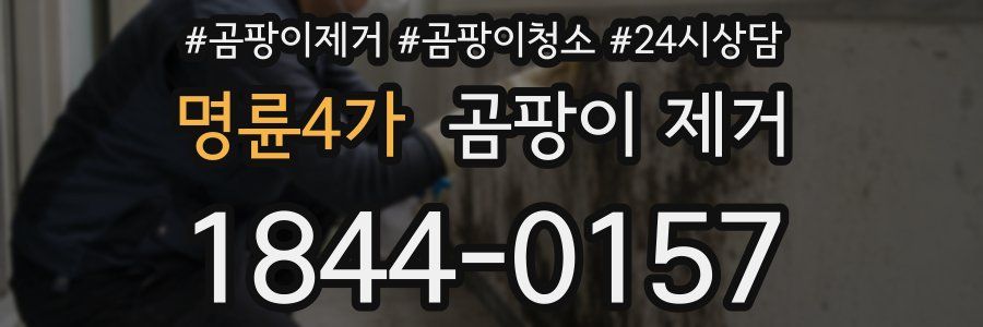 명륜4가 곰팡이 제거