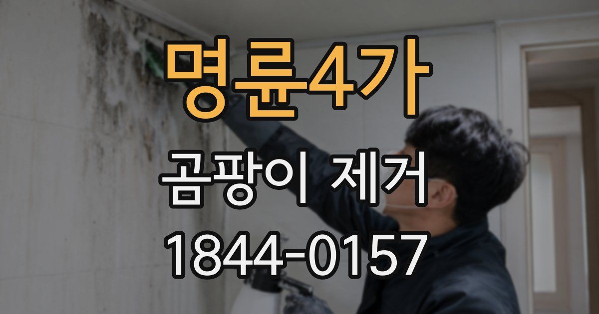 명륜4가 곰팡이 제거