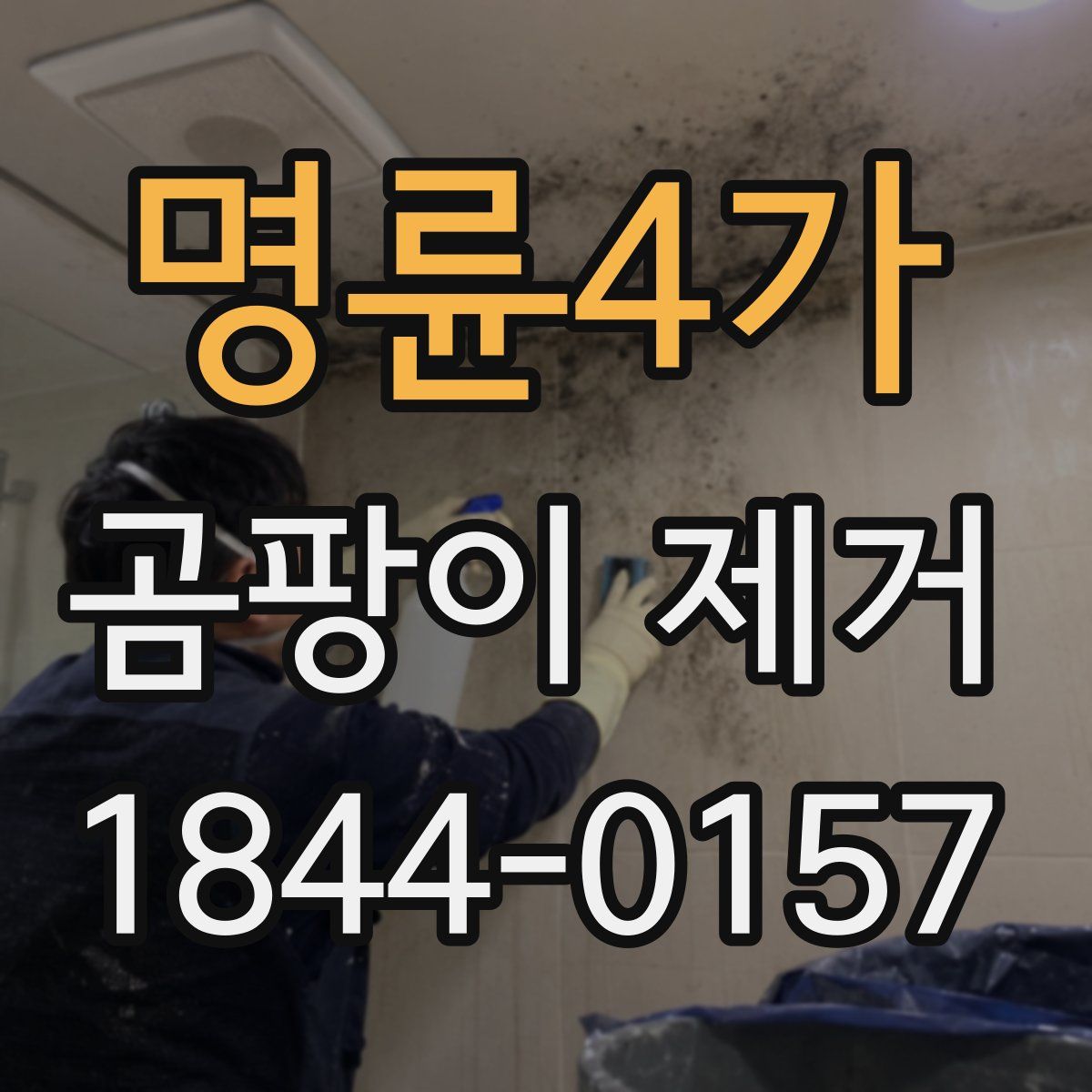 명륜4가 곰팡이 제거