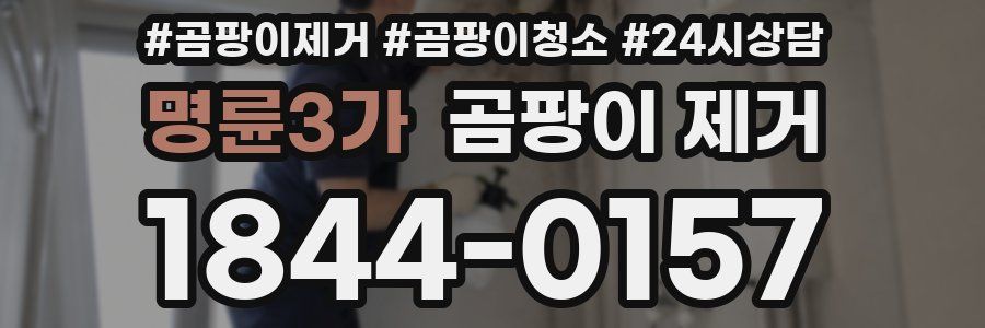 명륜3가 곰팡이 제거