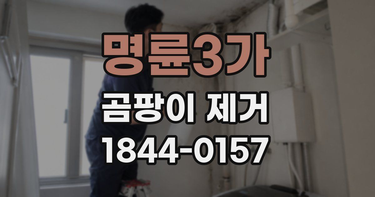 명륜3가 곰팡이 제거