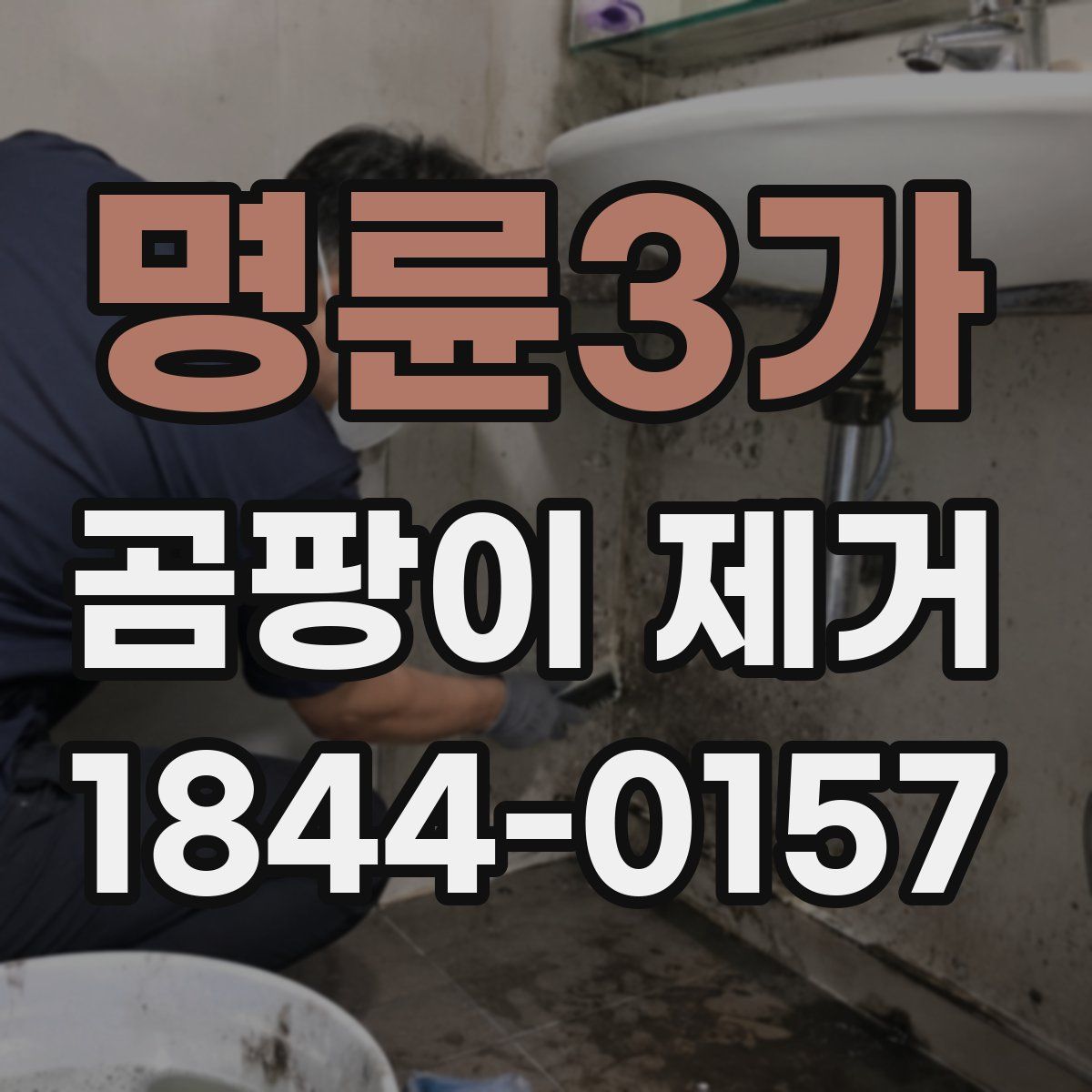 명륜3가 곰팡이 제거