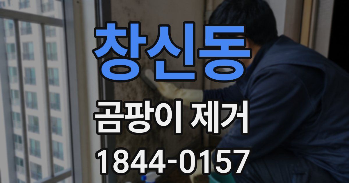 창신동 곰팡이 제거