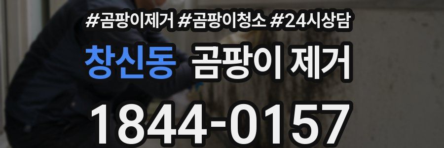 창신동 곰팡이 제거