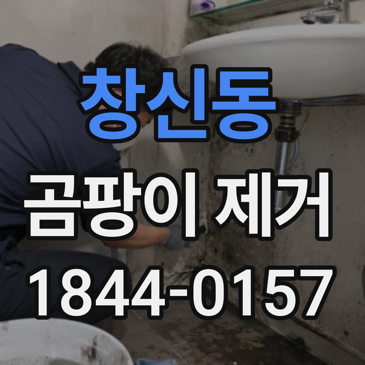 창신동 곰팡이 제거