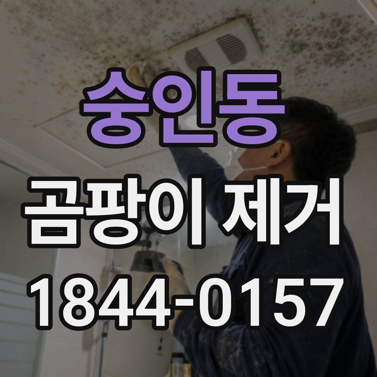 숭인동 곰팡이 제거