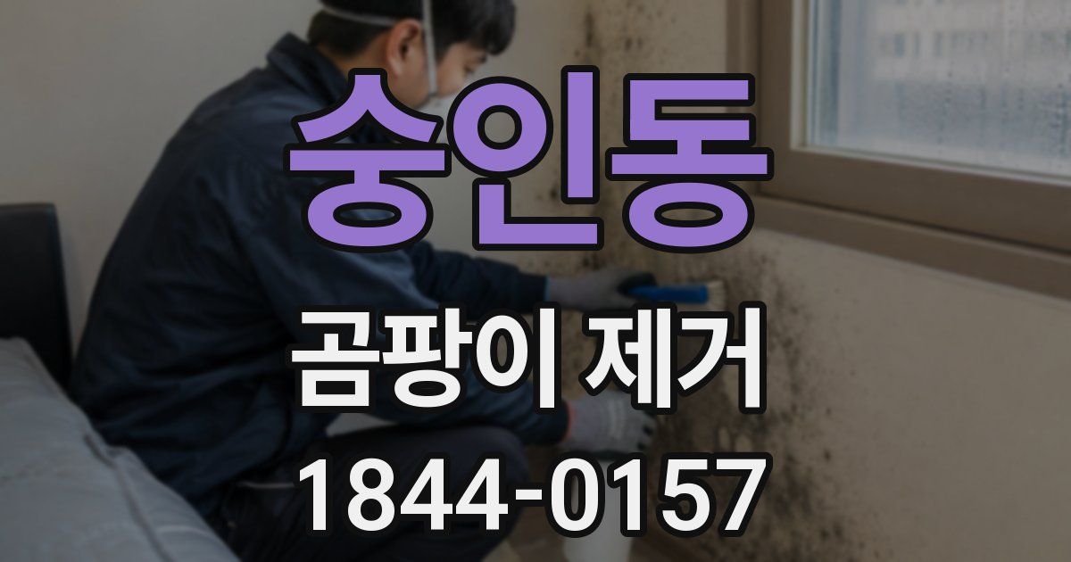 숭인동 곰팡이 제거