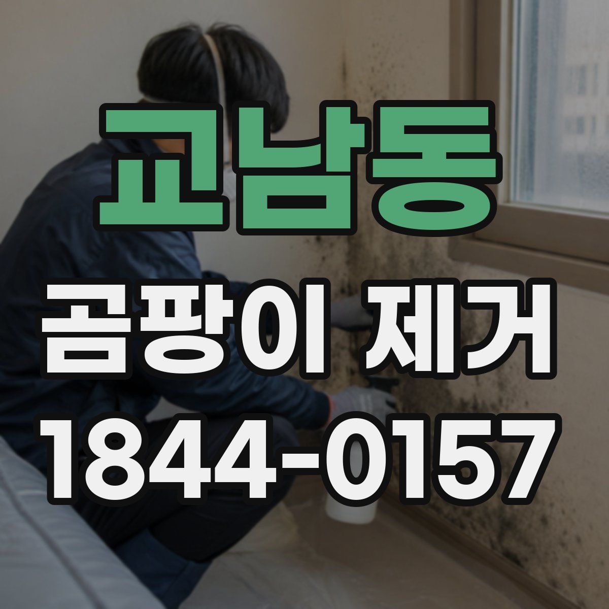 교남동 곰팡이 제거