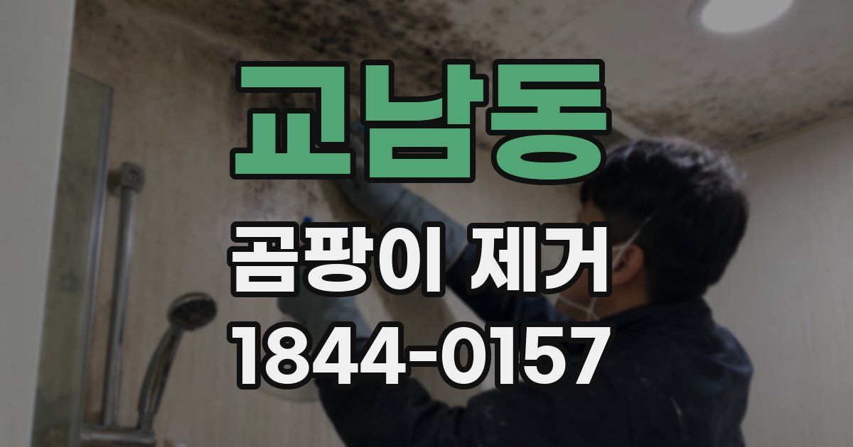 교남동 곰팡이 제거