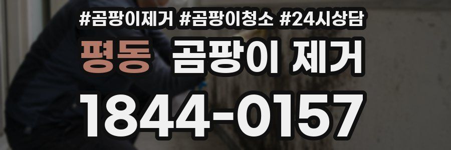 평동 곰팡이 제거