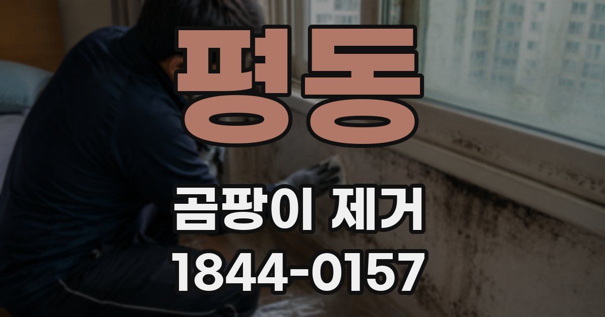 평동 곰팡이 제거