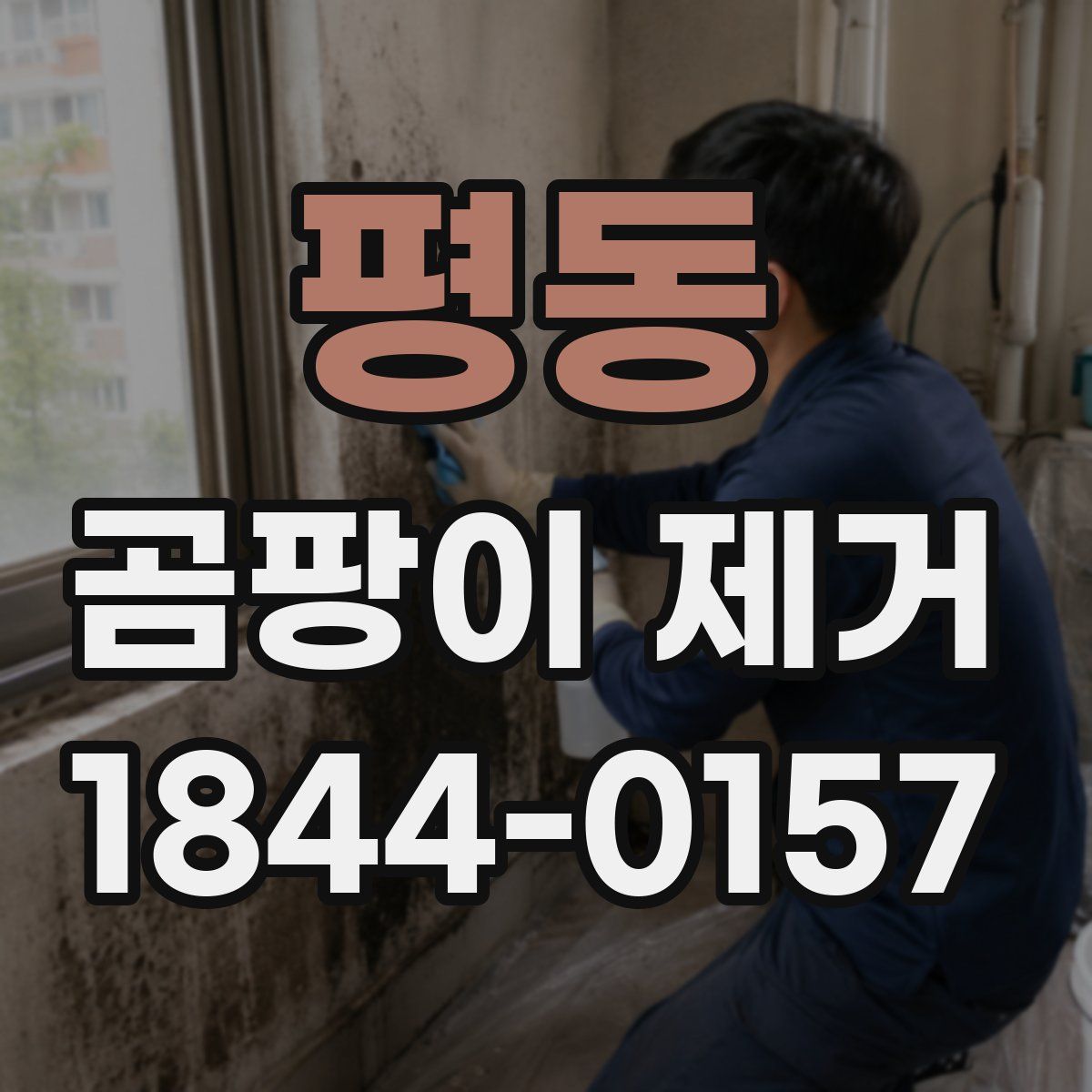 평동 곰팡이 제거