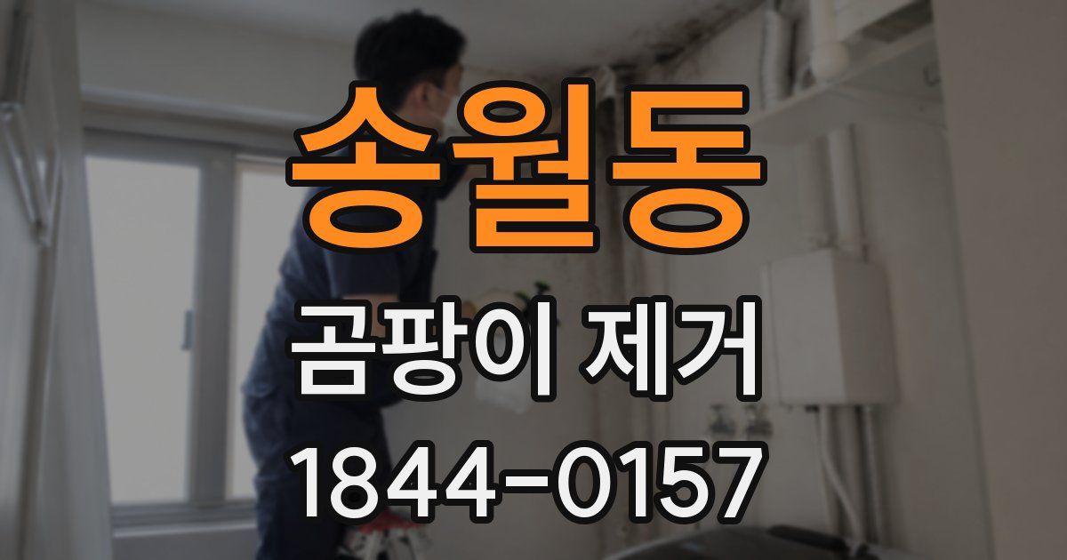 송월동 곰팡이 제거