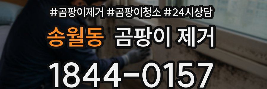 송월동 곰팡이 제거