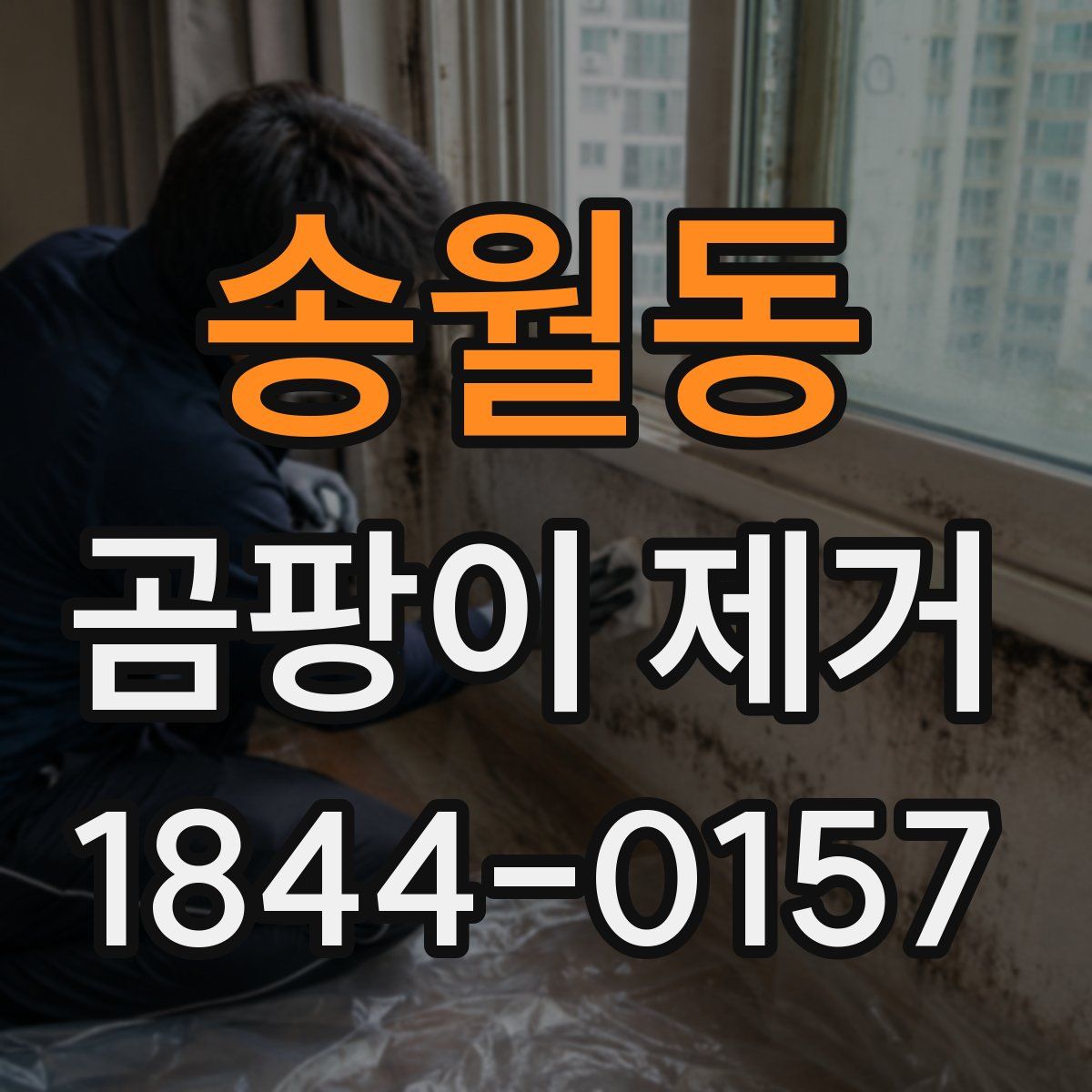 송월동 곰팡이 제거