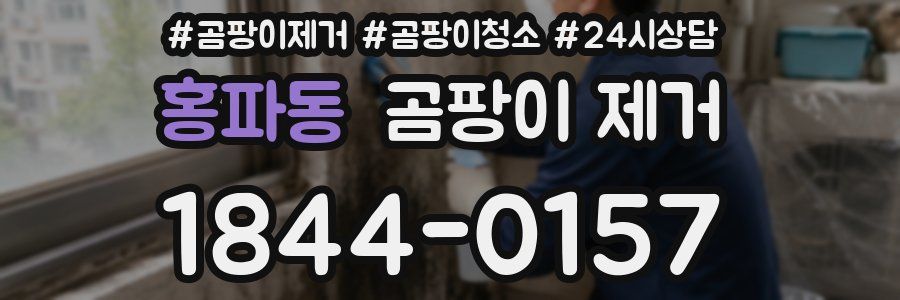 홍파동 곰팡이 제거