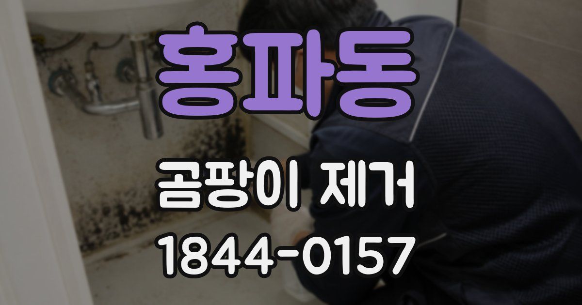 홍파동 곰팡이 제거