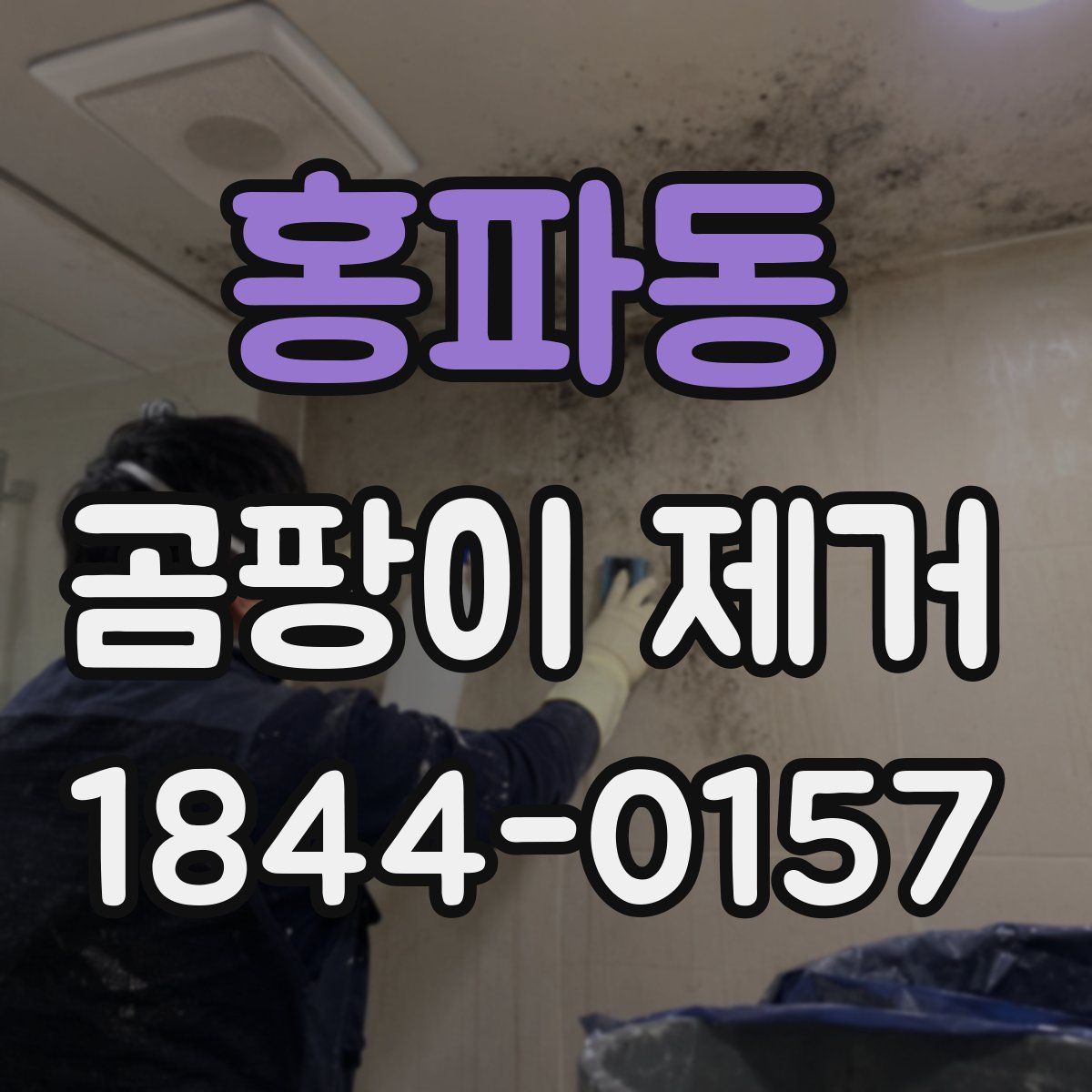 홍파동 곰팡이 제거