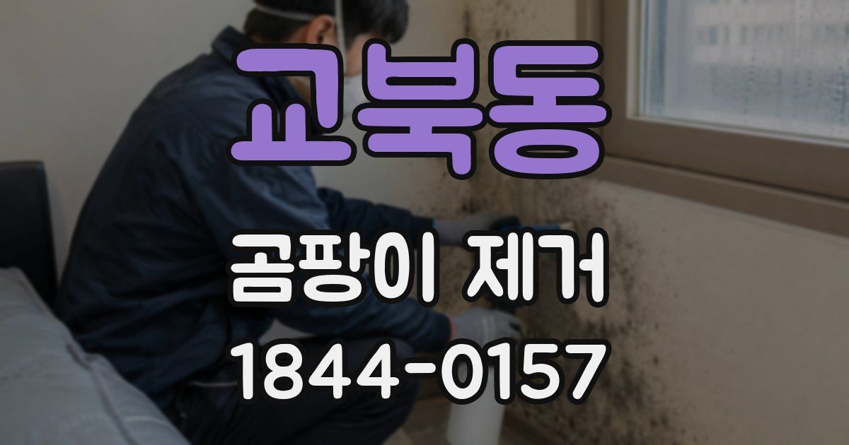 교북동 곰팡이 제거