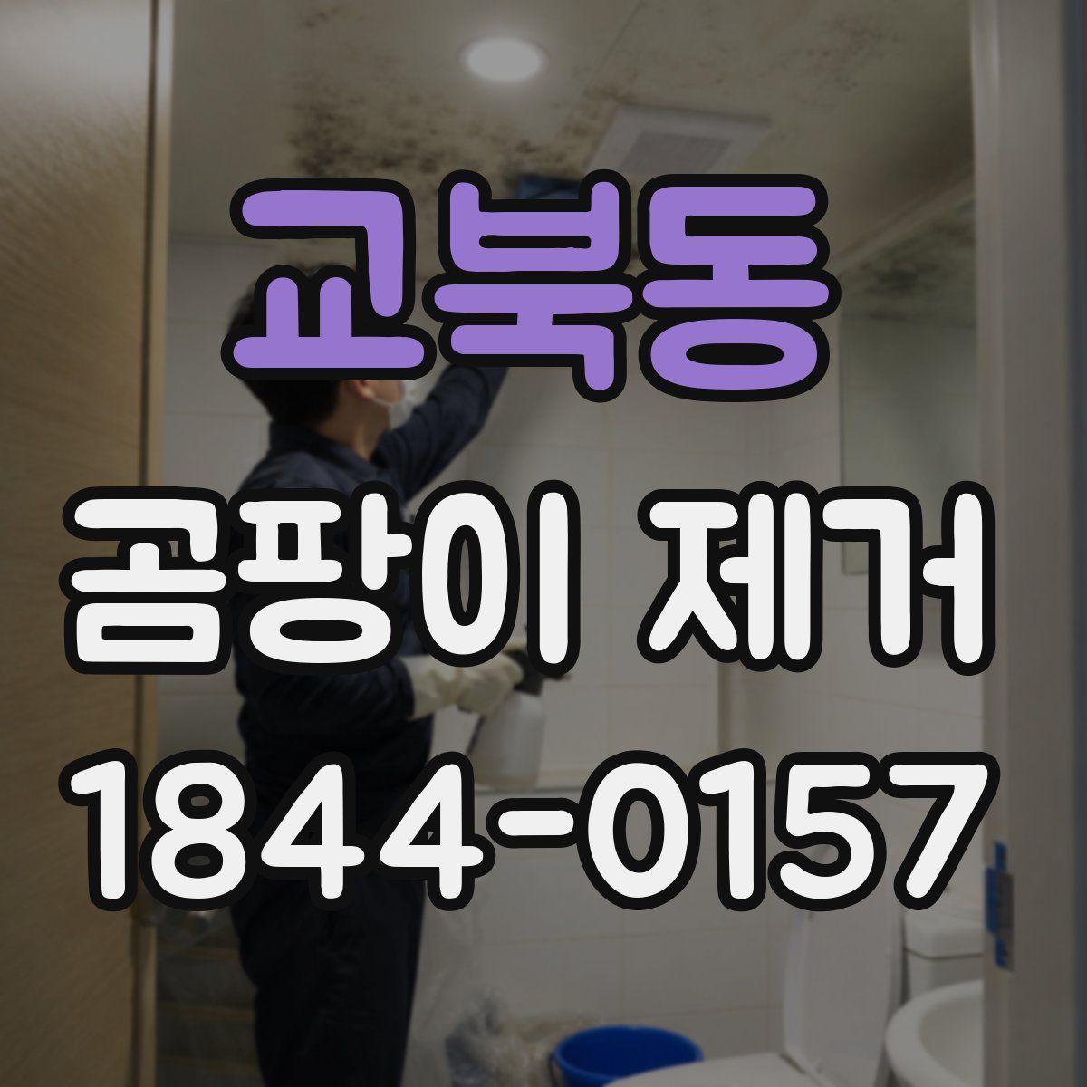 교북동 곰팡이 제거