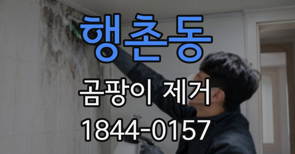 행촌동 곰팡이 제거