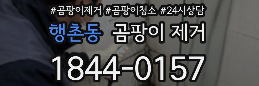 행촌동 곰팡이 제거