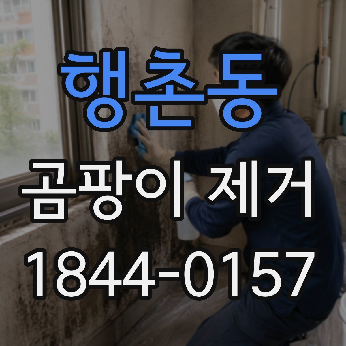 행촌동 곰팡이 제거