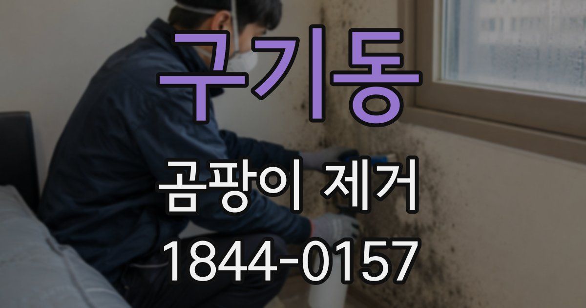 구기동 곰팡이 제거